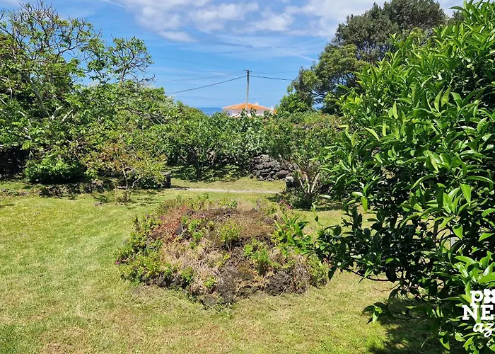 The North House By Ponta Negra Azores 펜션